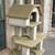 cat tower barn 2 thumbnail