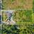 FOR SALE! 5 ACRES WITH 2 HOUSES AND A BLUEBERRY FARM in LANGLEY 19 thumbnail