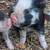 Kune kune piglets 2 thumbnail