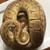Good morphs set ball python for rehoming 1 thumbnail