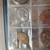 COIN COLLECTION 8 thumbnail