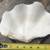 2 Clam Shells (All for $10) 3 thumbnail
