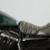 2021 Harley Davidson Sportster Iron 883 Just 49 TOTAL MILES! 10 thumbnail