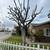 landscaping service /servicio de jardin/ we do many areas 8 thumbnail