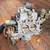 Ford Motorcraft 1982 302 351 V8 2BBL Carb E2TECCC 9 thumbnail