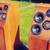 Quality Hi-Fi Speakers 1 thumbnail