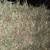 Grass alfalfa hay 2 thumbnail