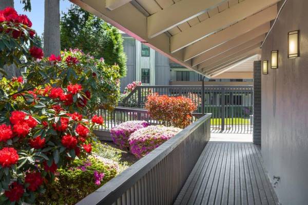 $1,725 / 1br - 781ft2 - Stunning 1 BR/1 BA with Stainless Steel Appliances, First Month Fr63874305833601122