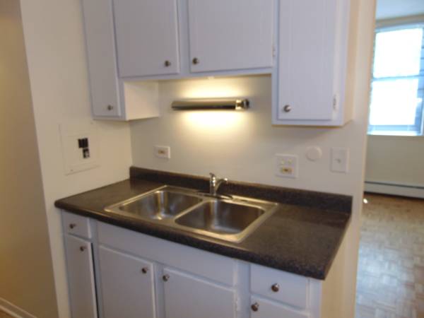$1,675 / 1br - 424 W Oakdale in Lakeview-1-bedroom w/Free Heat,HDWD,Laundry (Lakeview)63898737230722121