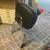 Harley 97-07 Touring Detachable Backrest / Sissy Bar 1 thumbnail