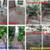 PRESSURE WASHING☛ROOF REPAIR, GUTTER☛TILE☛WINDOW☛HOUSE☛CARPET CLEANING 7 thumbnail