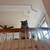PERSIAN CATS (BONDED PAIR) NEEDS HOME 5 thumbnail