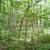 Indiana Exclusive Deer lease 160 acres 5 thumbnail