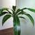 Household - Planter w/ Roller Caddie + Plant, Ceramic (2) 4 thumbnail