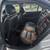 2007 Ford Fusion V6 AWD with snow tires 3 thumbnail