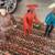 Star Trek Set 4 thumbnail