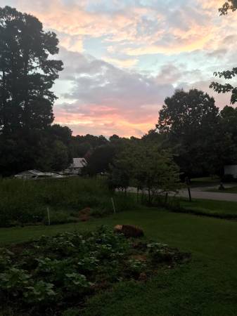 $1 / 1br - looking to rent a room out of my home (holiday island)63932059933570120