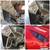 SUPERSHOP PROFESSIONAL AUTOMOTIVE PAINT AND BODY  🔥🔴🔵 10 thumbnail