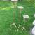 Candle Holders - Set of 3 1 thumbnail