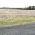26 Acres of Farmland for Rent - $1950 3 thumbnail