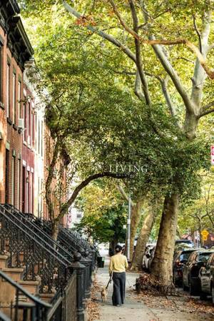 $6200.00 / 2br - 1100ft2 - Park slope meets Gowanus, No Fee + 2 months free on 1 yr * 2,500 sq. f (Gowanus)63816602816641124