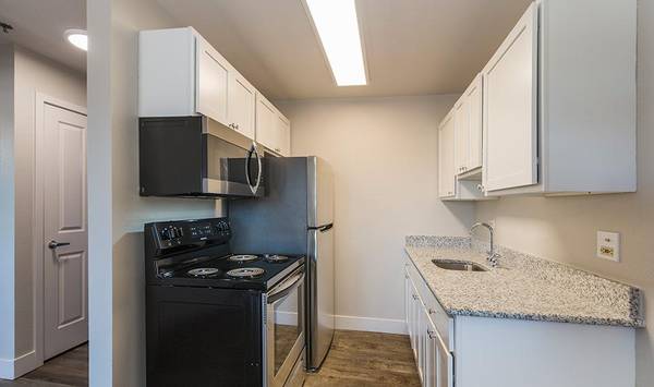 $1,350 / 1br - 520ft2 - Firepit, A Must See, Tour Today, New Fixtures (North East)63658213574659121