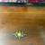 Ca. 1870s SWISS CYLINDER ROLL 20 SONGS MUSIC BOX 11 thumbnail