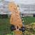 Fender Stratocaster Limited Edition Jimi Hendrix Black 2016 3 thumbnail