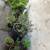 Small Quiet DTLA 4 blocks away in Hills above Sunset Boulevard 23 thumbnail