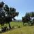 Napa Wine Country Gem 6 thumbnail