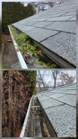 WINTER PROPERTY CLEAN-UPS/JUNK REMOVAL 1