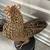 Large 24" Handwoven Grapevine Rooster Topiary Statue 3 thumbnail