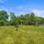 Westerville Schools, Playground, 1BD 1BA 9 thumbnail