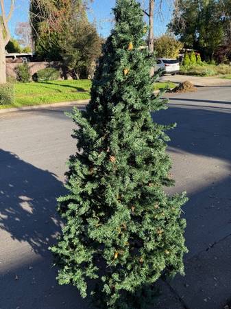Artificial Christmas tree Free 1