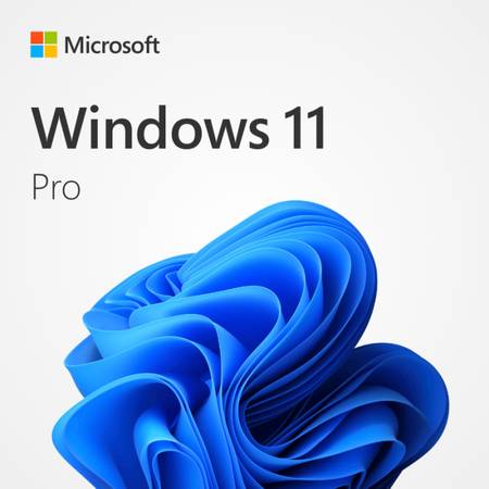 Windows 11 PRO License Installation 1