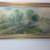 Frieda Neutra Nature Oil On Canvas Art Painting Wooden Frame Picture 1 thumbnail