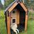 DOG HOUSE 7 thumbnail