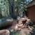 Angry Beaver Tree Removal Services 7 thumbnail