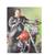 1998 Harley Davidson Softail 5 thumbnail