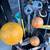GOLF CLUBS SETS SINGLE CLUBS BAGS BALLS CARTS HEAD COVERS SHAG BAGS 9 thumbnail
