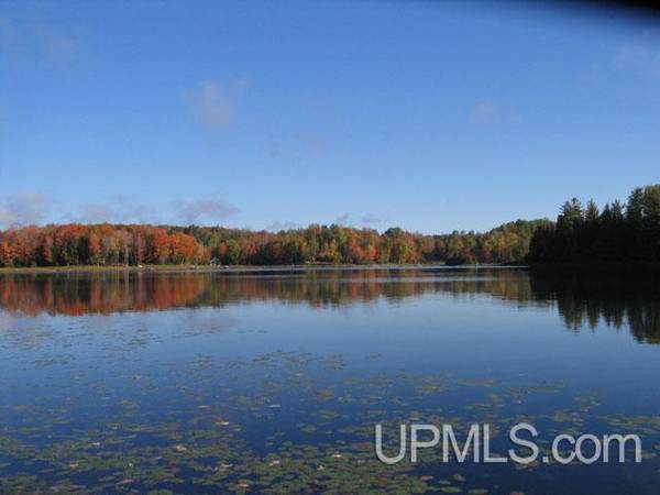 $73,500 2 Acres County Line Lake MLS 50175787 (Watersmeet)64151610098946121