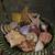 Shells in dish 6 thumbnail