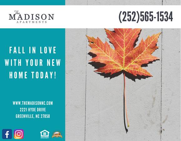 $1,405 / 2br - 1146ft2 - Less Hassle, More Home – Tour The Madison Today (Greenville)63897186628611120