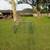 Small Trailer, Zero Turn Mower, Livestock Cage 5 thumbnail