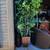 7 ft Deluxe Silk Ficus Tree in Copper Color Planter 1 thumbnail