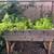 Detached House, hardwood floors, new washer/dryer, sunny yard. AC 15 thumbnail