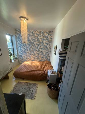 $1,500 / 3br - Williamsburg bridge (Brooklyn)63661221304705120