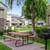 ^^790++  LARGE 2bed/2bath PREFERRED AREA, no MOVE-IN-SPECIAL $500 10 thumbnail