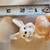 Bird and Bunny Figurines 2 thumbnail