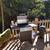 Small Rustic Camping Cabin in Redwood Retreat,Pet Ok 21 thumbnail
